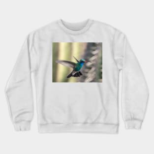 One Handsome Dude Crewneck Sweatshirt